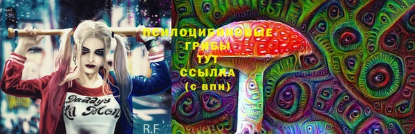 каннабис Арсеньев